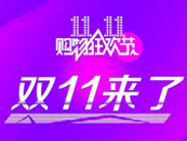 ˫11