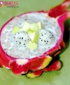 80Ůˮ Ҭ֭¶