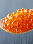 <b>ݻġӽ </b>